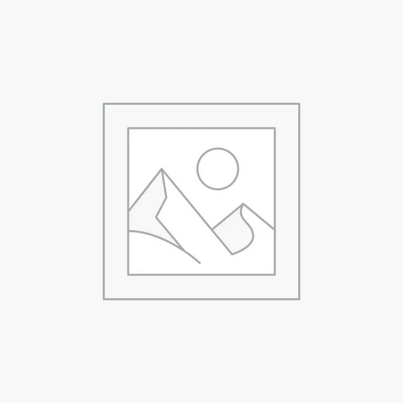 COMPACT NEEDLE SCALER